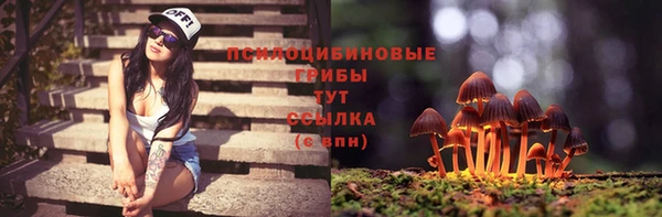 тгк Арсеньев