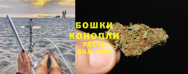 молекула духа Аркадак