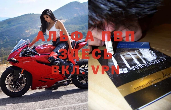 молекула духа Аркадак