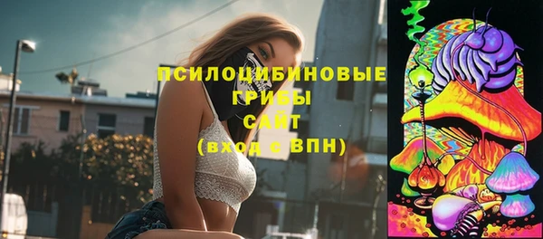 тгк Арсеньев
