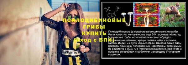 молекула духа Аркадак